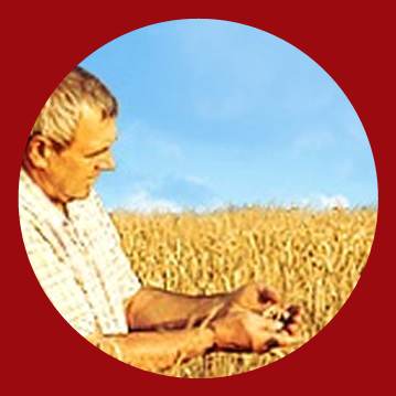 fir-ww026-usadataserver--009_r2_c3