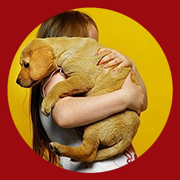 fir-ww026-usadataserver--009_r4_c6